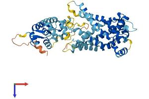 SLC25A24 Protein (AA 1-477) (His tag)