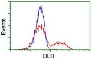 HEK293T cells transfected with either RC200639 overexpress plasmid (Red) or empty vector control plasmid (Blue) were immunostained by anti-DLD antibody (ABIN2454924), and then analyzed by flow cytometry. (DLD 抗体)