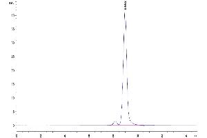 Size-exclusion chromatography-High Pressure Liquid Chromatography (SEC-HPLC) image for Transthyretin (TTR) (AA 21-147) protein (His tag) (ABIN7275811)