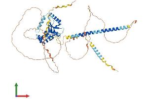 Protein Structure (PS) image for OTU Domain Containing 5 (OTUD5) (AA 1-571) protein (His tag) (ABIN7550266)