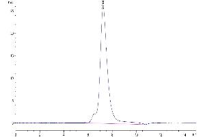 Size-exclusion chromatography-High Pressure Liquid Chromatography (SEC-HPLC) image for Interleukin 2 Receptor, alpha (IL2RA) (AA 22-213) protein (His-Avi Tag,Biotin) (ABIN7274200)