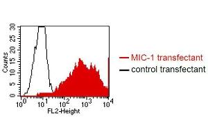 FACS analysis of BOSC23 cells using ME-6D10. (GDF15 抗体  (N-Term))