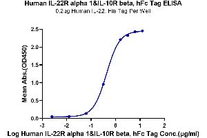Immobilized Human IL-22, His Tag at 2 μg/mL (100 μL/well) on the plate.