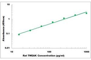 Representative Standard Curve