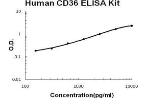 Human CD36/SR-B3 PicoKine ELISA Kit standard curve (CD36 ELISA 试剂盒)