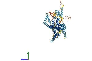 AlphaFold protein structure predicition of Human Recombinant TMC6 Protein, UniprotID Q7Z403