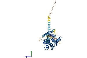 AlphaFold protein structure predicition of Mouse Recombinant Gpr52 Protein, UniprotID P0C5J4 (GPR52 Protein (AA 1-361) (His tag))