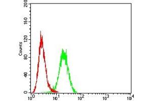 Flow cytometric analysis of Hepg2 cells using CLDN6 mouse mAb (green) and negative control (red). (Claudin 6 抗体)