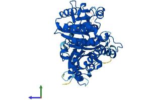 Protein Structure (PS) image for Tubulin, alpha-Like 3 (TUBAL3) (AA 1-446) protein (His tag) (ABIN7557303)