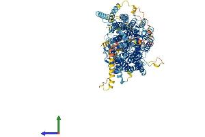 AlphaFold protein structure predicition of Human Recombinant PIGO Protein, UniprotID Q8TEQ8