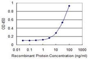 Detection limit for recombinant GST tagged MBTPS2 is 1 ng/ml as a capture antibody. (MBTPS2 抗体  (AA 312-418))