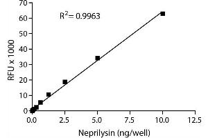 ELISA image for SensoLyte® 520 Neprilysin Activity Assay Kit (ABIN1882538) (SensoLyte® 520 Neprilysin Activity Assay Kit)