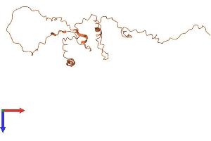 AlphaFold protein structure predicition of Human Recombinant C9orf163 Protein, UniprotID Q8N9P6