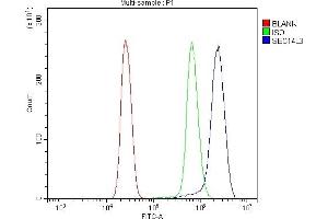 anti-SEC14-Like 3 (SEC14L3) (AA 4-400) antibody
