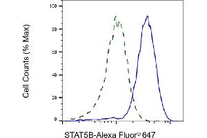 Validation of STAT5B knockdown using flow cytometry. (Recombinant STAT5B 抗体)
