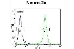 JOSD2 Antibody (N-term) (ABIN654556 and ABIN2844263) flow cytometric analysis of Neuro-2a cells (right histogram) compared to a negative control cell (left histogram). (JOSD2 抗体  (N-Term))