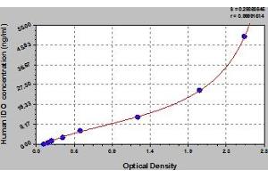 Typical Standard Curve (IDO1 ELISA 试剂盒)