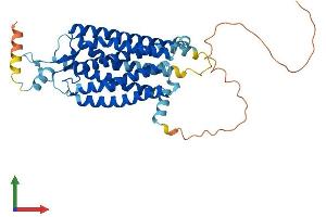 Protein Structure (PS) image for Neuromedin U Receptor 2 (NMUR2) (AA 1-395) protein (His tag) (ABIN7559032)