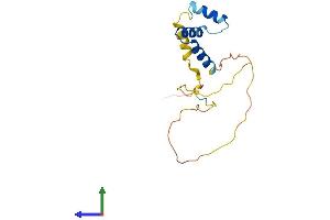 AlphaFold protein structure predicition of Human Recombinant MZT2B Protein, UniprotID Q6NZ67 (MZT2B Protein (AA 1-158) (His tag))