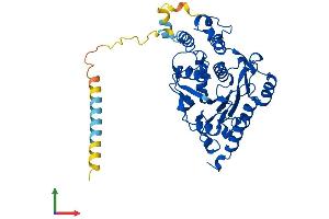 Protein Structure (PS) image for UDP-GlcNAc:BetaGal beta-1,3-N-Acetylglucosaminyltransferase 2 (B3GNT2) (AA 1-397) protein (His tag) (ABIN7552566)