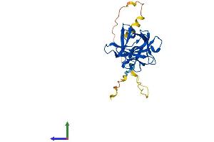 Protein Structure (PS) image for Fibroblast Growth Factor 11 (FGF11) (AA 1-225) protein (His tag) (ABIN7556709)