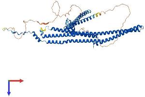 Thyroid Hormone Receptor Interactor 10 (TRIP10) (AA 1-601) protein (His tag)