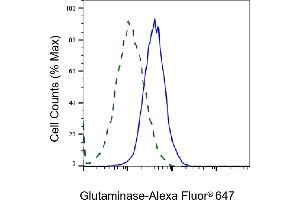 Validation of Glutaminase knockdown using flow cytometry.
