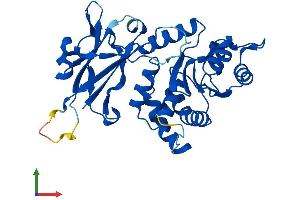 Protein Structure (PS) image for Epilepsy, Progressive Myoclonus Type 2A, Lafora Disease (Laforin) (EPM2A) (AA 1-330) protein (His tag) (ABIN7565216)