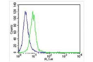 Overlay histogram showing NIH/3T3 cells stained with (ABIN6243361 and ABIN6577105) (green line). (FER 抗体)