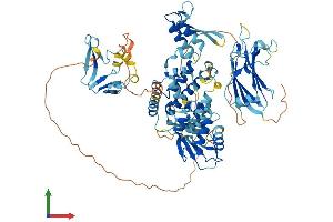 Protein Structure (PS) image for SMAD Specific E3 Ubiquitin Protein Ligase 1 (SMURF1) (AA 1-731) protein (His tag) (ABIN7564947)