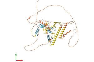 AlphaFold protein structure predicition of Human Recombinant IKZF3 Protein, UniprotID Q9UKT9