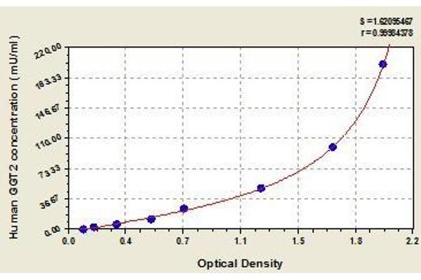 gGT2 ELISA 试剂盒