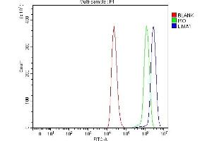 Flow Cytometry analysis of THP-1 cells using anti-EPLIN/LIMA1 antibody (ABIN7602639). (LIMA1 抗体  (AA 9-744))