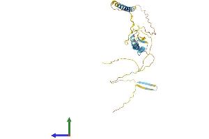 Protein Structure (PS) image for LysM, Putative Peptidoglycan-Binding, Domain Containing 4 (LYSMD4) (AA 1-296) protein (His tag) (ABIN7549185)