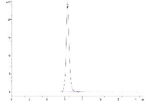 Size-exclusion chromatography-High Pressure Liquid Chromatography (SEC-HPLC) image for CD276 (CD276) (AA 29-245) protein (Fc Tag) (ABIN7273959)
