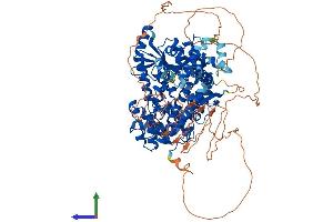 Protein Structure (PS) image for Family with Sequence Similarity 120B (FAM120B) (AA 1-910) protein (His tag) (ABIN7553869)
