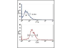 Flow cytometric analysis of MCF-7 cells using KLF4 Monoclonal Antibody (bottom histogram) compared to a negative control (top histogram). (KLF4 抗体)