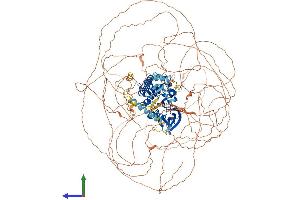 Protein Structure (PS) image for Apoptosis-Associated tyrosine Kinase (AATK) (AA 1-1374) protein (His tag) (ABIN7554439)