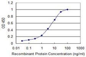 Detection limit for recombinant GST tagged RGS10 is 0. (RGS10 抗体  (AA 1-181))