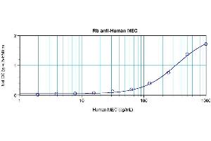 Sandwich ELISA using MEC / CCL28 antibody (CCL28 抗体)