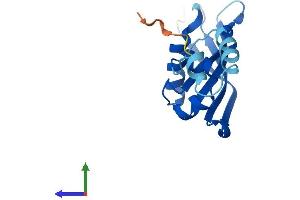 Protein Structure (PS) image for Ribosomal Protein S24 (RPS24) (AA 1-133) protein (His tag) (ABIN7551573)