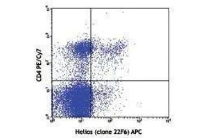 Flow Cytometry (FACS) image for anti-IKAROS Family Zinc Finger 2 (IKZF2) antibody (APC) (ABIN2658755) (IKZF2 抗体  (APC))