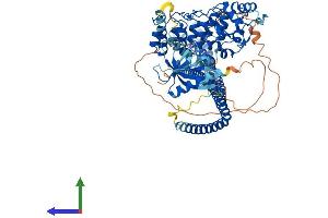 Protein Structure (PS) image for ArfGAP with Coiled-Coil, Ankyrin Repeat and PH Domains 2 (ACAP2) (AA 1-770) protein (His tag) (ABIN7558146)