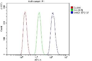 Flow Cytometry analysis of HEPA1-6 cells using anti-NHEJ1 antibody (ABIN7599198).