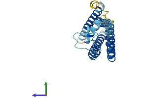 Protein Structure (PS) image for Tetraspanin 2 (TSPAN2) (AA 1-221) protein (His tag) (ABIN7544875)