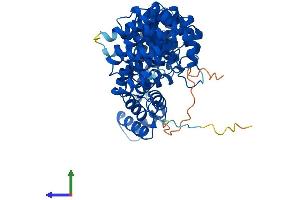 Protein Structure (PS) image for Armadillo Repeat Containing 6 (ARMC6) (AA 1-501) protein (His tag) (ABIN7552303)