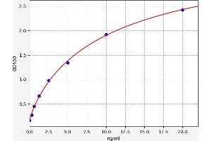 Typical standard curve (IGFBP4 ELISA 试剂盒)