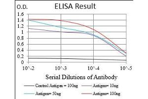 Black line: Control Antigen (100 ng), Purple line: Antigen(10 ng), Blue line: Antigen (50 ng), Red line: Antigen (100 ng), (PRKACA 抗体  (AA 1-120))