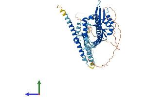 AlphaFold protein structure predicition of Human Recombinant NUP54 Protein, UniprotID Q7Z3B4