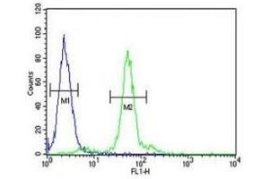 LOX antibody flow cytometric analysis of 293 cells (green) compared to a negative control (blue). (LOX 抗体  (AA 234-260))